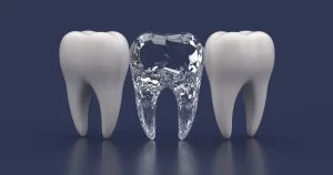 Teeth Names and Functions of Teeth